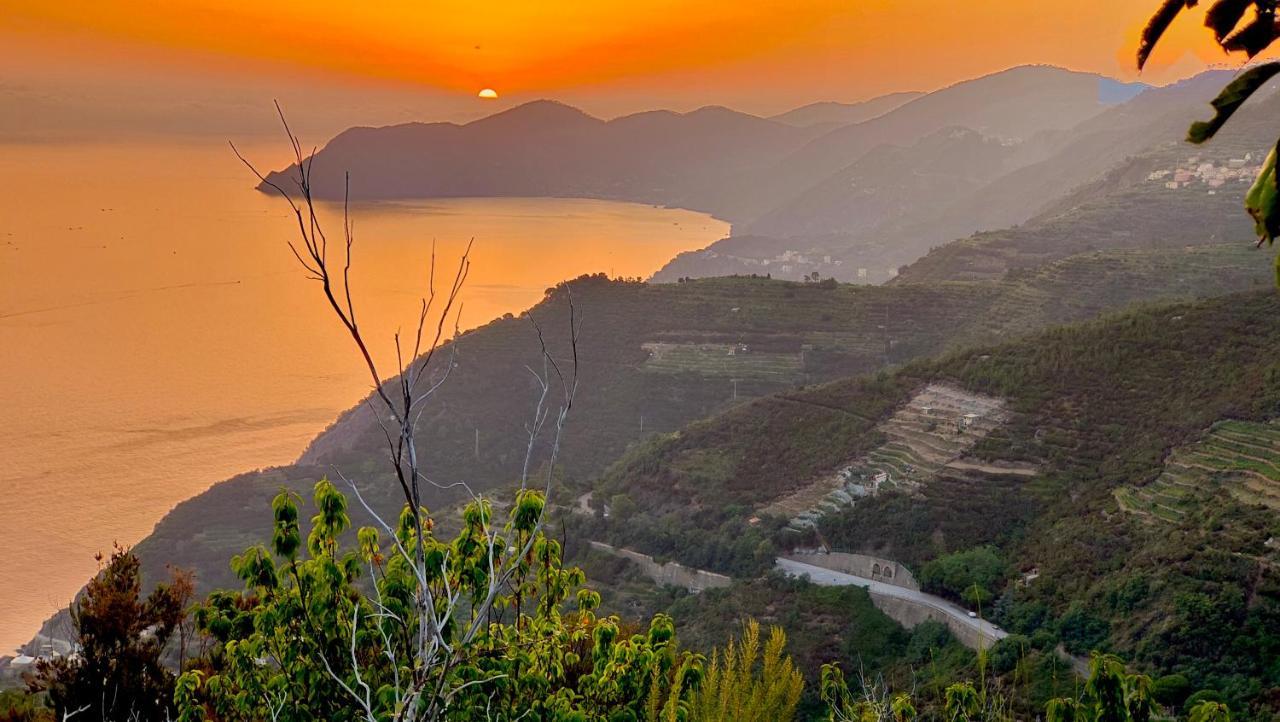 La Casa Delle Pietre Parlanti - Casa In Pietra Ai Piedi Del Parco Delle 5 Terre Bed & Breakfast Biassa Ngoại thất bức ảnh
